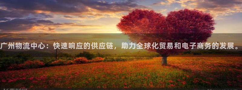 豪门国际大神预测：广州物流中心：快速