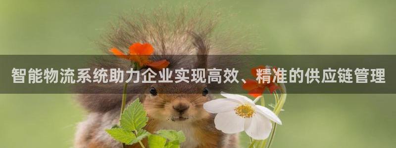 豪门国际注册账号：智能物流系统助力企