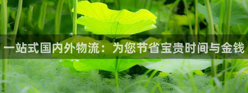 豪门国际加拿大app预测：一站式国内