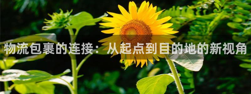 豪门国际官网平台：物流包裹的连接：从