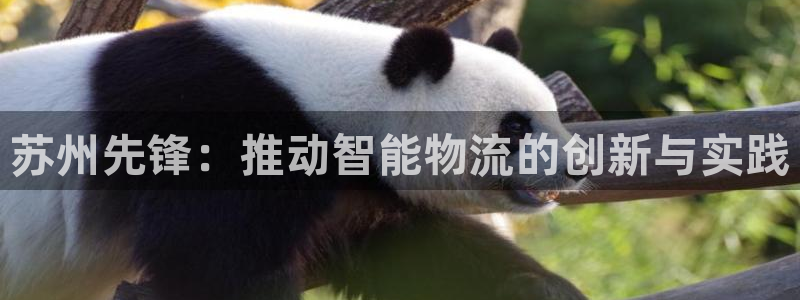 豪门国际注册条件：苏州先锋：推动智能