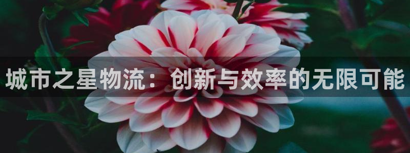 豪门国际黑平台吗：城市之星物流：创新