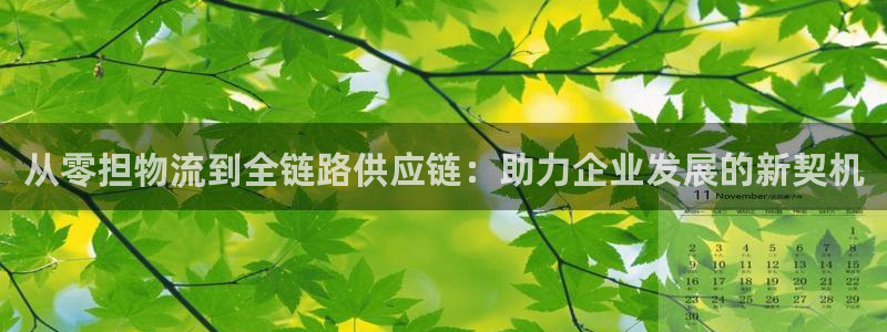 豪门国际官方官网：从零担物流到全链路