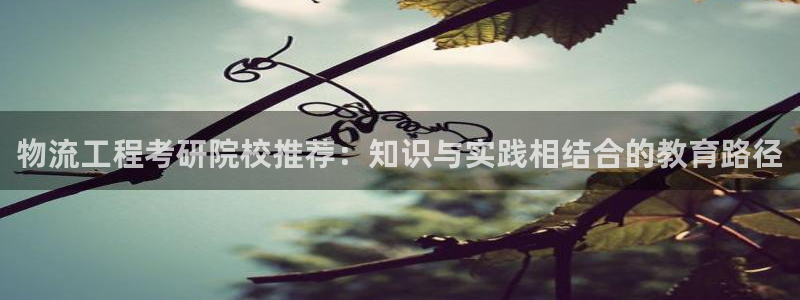 豪门国际官网版2024：物流工程考研