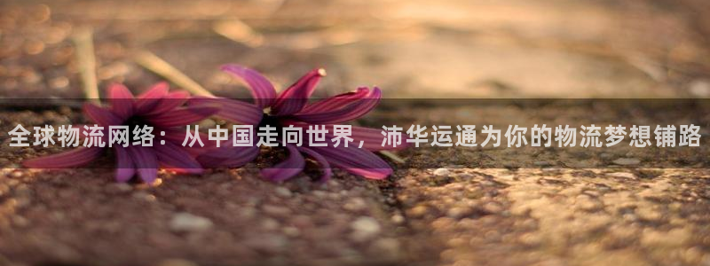 豪门国际犯法吗：全球物流网络：从中国