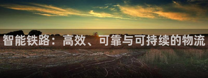 豪门国际返水怎么算的：智能铁路：高效
