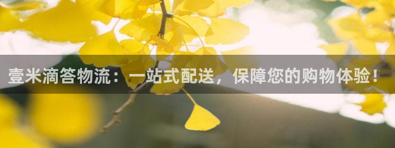 豪门国际绿骨头：壹米滴答物流：一站式