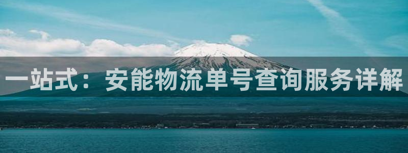 豪门国际模拟器在线使用：一站式：安能