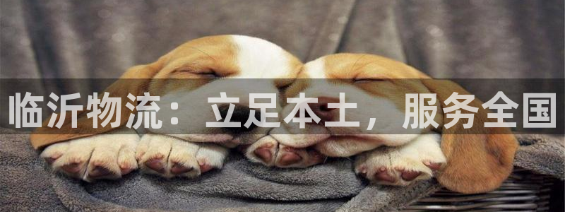豪门国际官网下载