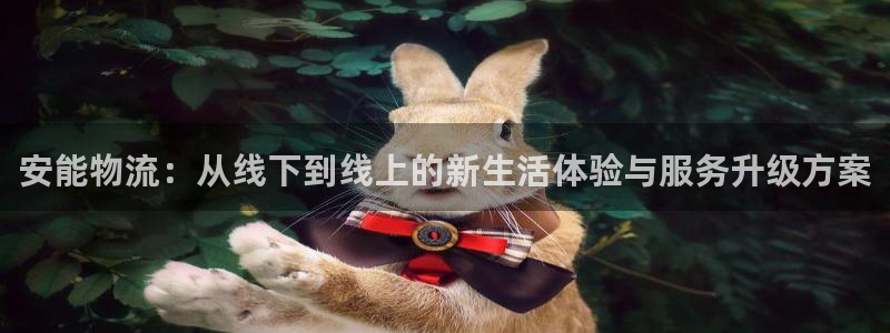 豪门国际p扣款什么意思：安能物流：从