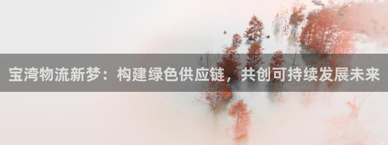 豪门国际怎么注册下载：宝湾物流新梦：
