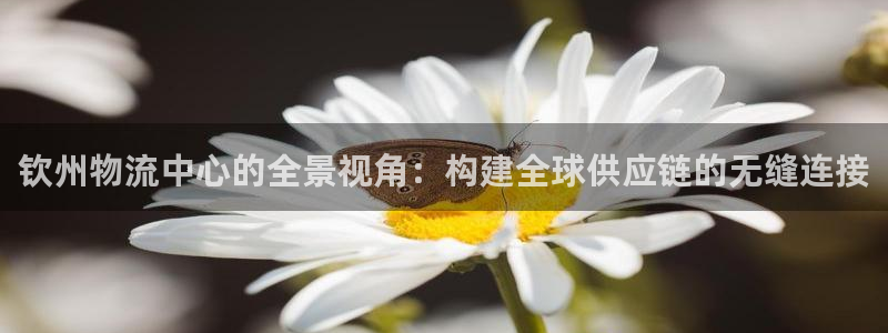 豪门国际退款教程：钦州物流中心的全景视角：构建全球供应链的无