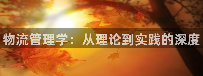 豪门国际链接：物流管理学：从理论到实