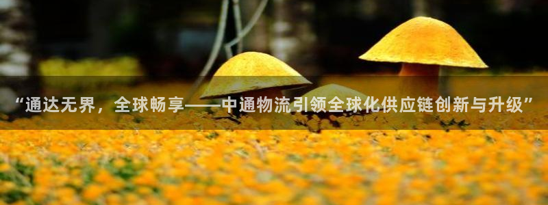 豪门国际流水怎么算：“通达无界，全球