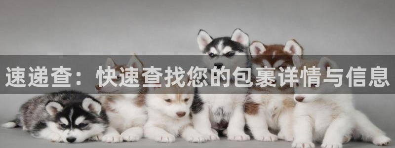 豪门国际游戏最新版：速递查：快速查找您的包裹详情与信息